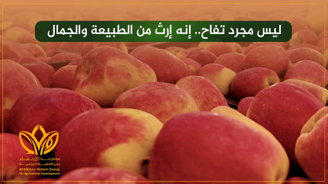 ليس مجرد تفاح..  إنه إرث من الطبيعة والجمال