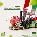 نصدر أجود الرمان اليمني للعالم