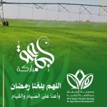 جمعة مباركة