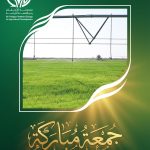 جمعة مباركة جمعة مباركة