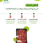 ماهي الفوائد التي يجنيها المزارع والمستهلك من التعبئة النظامية ؟